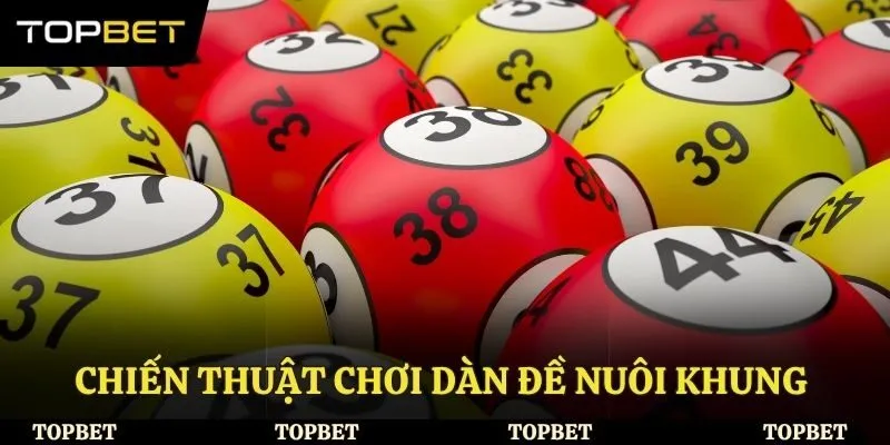 Chiến thuật chơi dàn đề nuôi khung bạn cần biết