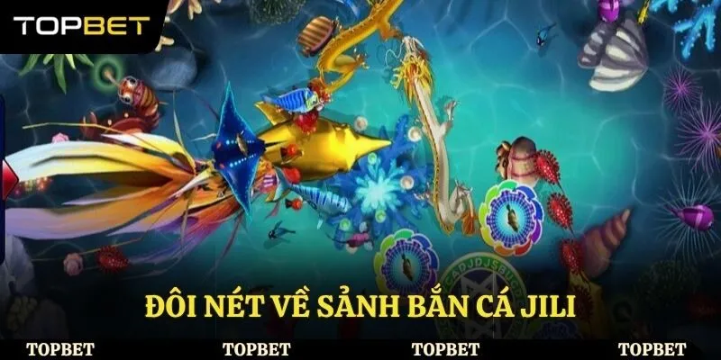 Tổng quan về sân chơi