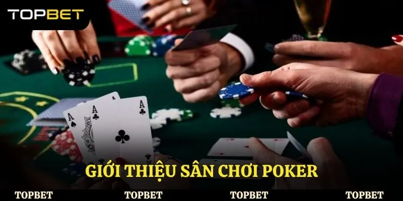 Giới thiệu sân chơi Poker