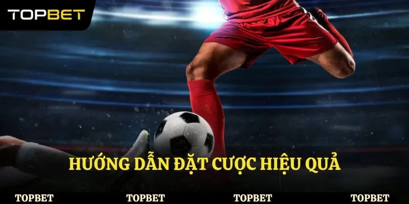 Hướng dẫn đặt cược hiệu quả
