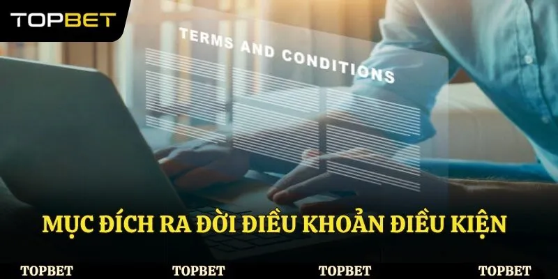 Mục đích ra đời điều khoản điều kiện
