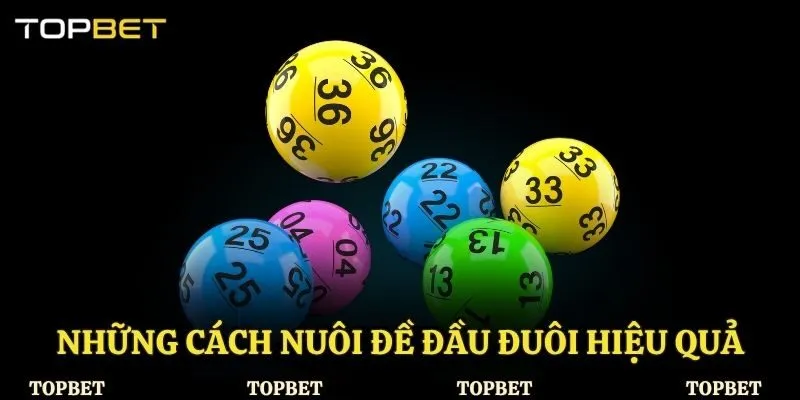 Những cách nuôi đề đầu đuôi hiệu quả cần biết
