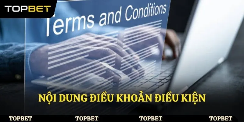 Nội dung điều khoản điều kiện cần tìm hiểu