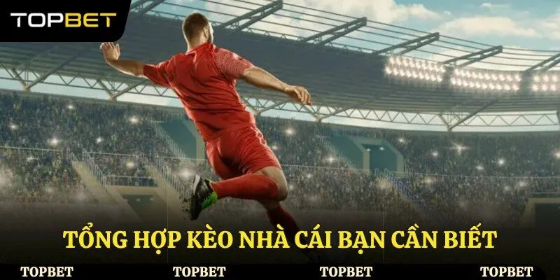 Tổng hợp kèo nhà cái bạn cần biết