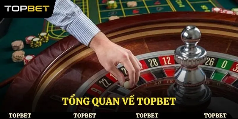 Tổng quan về Topbet